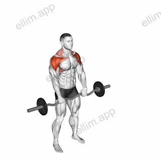 EZ bar Front Twist Raise exercise targeting Shoulders