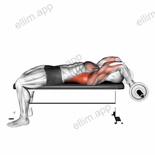 EZ-Bar Lying Bent Arms Pullover exercise targeting Back