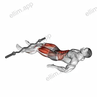 EZ Bar Reverse Crunch exercise targeting Waist
