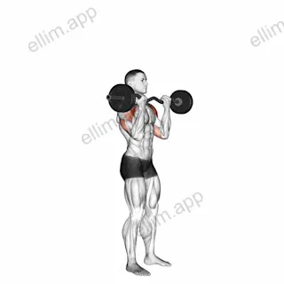 EZ Bar Standing Overhead Press exercise targeting Shoulders