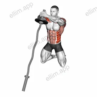 EZ Bar-Up Down Twist exercise targeting Waist
