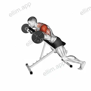 EZ Barbell Anti Gravity Press exercise targeting Shoulders and Deltoid Anterior