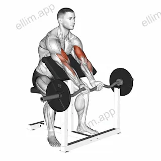 EZ Barbell Close Grip Preacher Curl exercise targeting Upper Arms and Brachialis