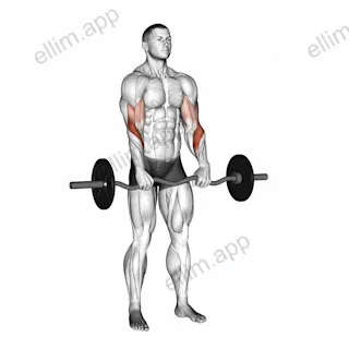 EZ Barbell Reverse Grip Curl exercise targeting Forearms and Brachioradialis