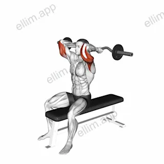 EZ Barbell Seated Triceps Extension exercise targeting Upper Arms and Triceps Brachii
