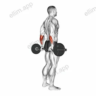 EZ Barbell Standing Back Wrist Curl exercise targeting Forearms
