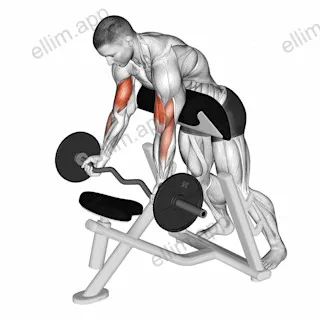 EZ Barbell Standing Preacher Curl exercise targeting Upper Arms
