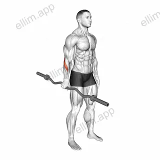 EZ Barbell Standing Single Arm Neutral Wrist Curl exercise targeting Forearms