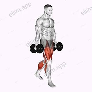 Farmers walk exercise targeting Thighs and Adductor Magnus