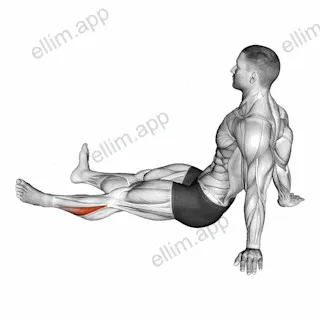 Feet and Ankles Rotation Stretch exercise targeting Calves and Soleus
