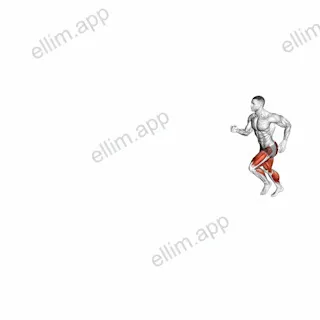 Figure Run exercise targeting Plyometrics