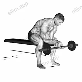 Finger Curls exercise targeting Forearms