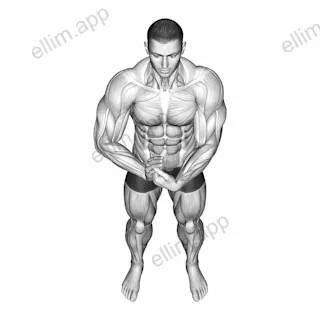 Finger Extensor Stretch exercise targeting Forearms