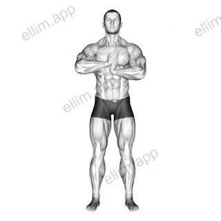 Finger Flexor Stretch exercise targeting Forearms