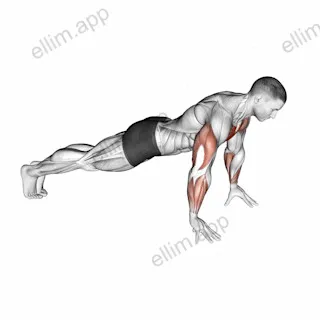 Finger Push-up exercise targeting Chest and Pectoralis Major Clavicular Head