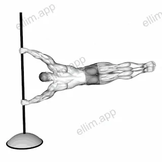 Flag exercise targeting Upper Arms and Waist