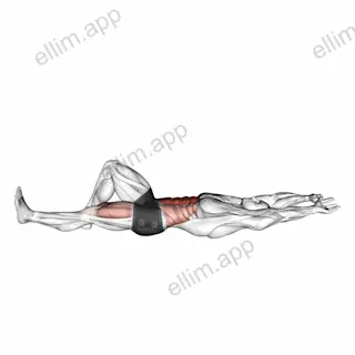 Flexion Leg Sit up (bent knee) exercise targeting Waist and Rectus Abdominis