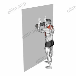 Foam Roll Serratus Wall Slide exercise targeting Back and Serratus Anterior