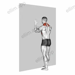 Forearm Wall Slide exercise targeting Back