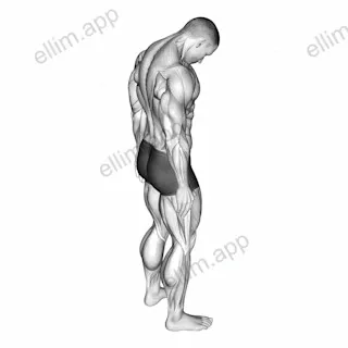 Forward Flexion Neck Stretch exercise targeting Neck