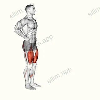Forward Lunge exercise targeting Thighs and Gluteus Maximus