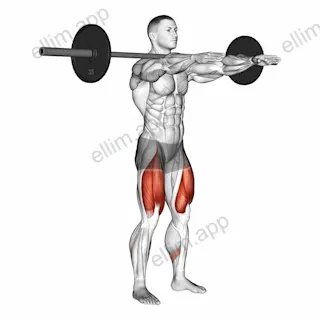 Frankenstein squat exercise targeting Thighs and Gluteus Maximus