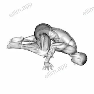 Frog planche exercise targeting Waist and Obliques