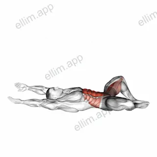 Frog Sit-up exercise targeting Waist and Adductor Brevis