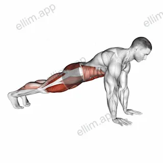 Frogger exercise targeting Waist and Gluteus Maximus