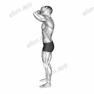 Front and Back Neck Stretch exercise targeting Neck and Sternocleidomastoid