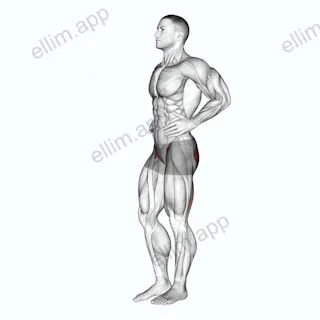 Front Back Leg Raises exercise targeting Hips