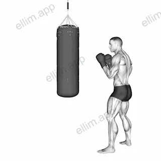 Front Groin Kick Kickboxing (with boxing bag) exercise targeting Plyometrics
