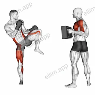 Front Kick Kickboxing (with partner) exercise targeting Plyometrics