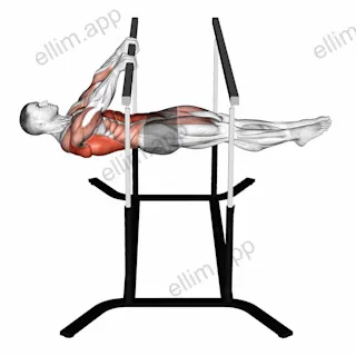 Front Lever Reps exercise targeting Back and Waist