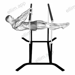 Front Lever exercise targeting Waist and Rectus Abdominis