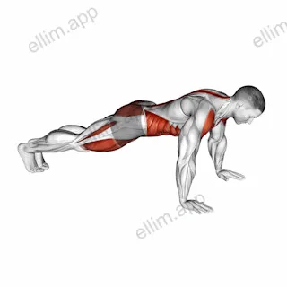 Front Plank to Toe Tap exercise targeting Hips