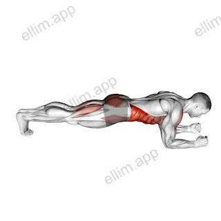 Front Plank with Leg Lift exercise targeting Gluteus Maximus and Rectus Abdominis