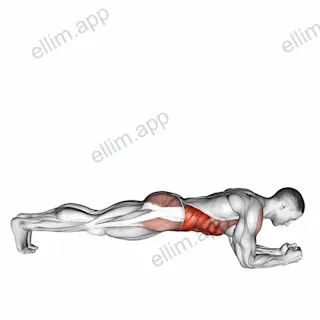 Front Plank with Twist exercise targeting Waist and Obliques