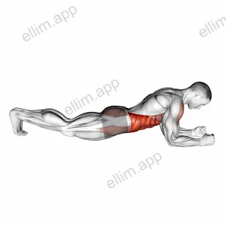 Front Plank exercise targeting Waist and Rectus Abdominis