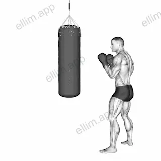 Front Snap Kick Kickboxing (with boxing bag) exercise targeting Plyometrics