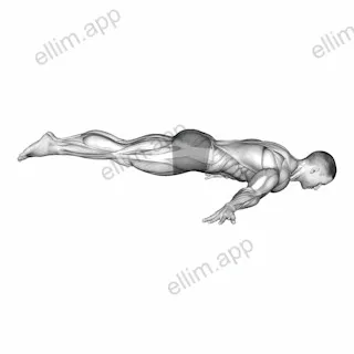 Full Maltese exercise targeting Waist