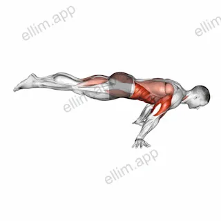 Full Planche Push-Up exercise targeting Obliques and Pectoralis Major Clavicular Head