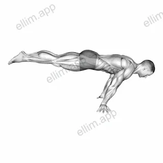 Full planche exercise targeting Waist and Rectus Abdominis