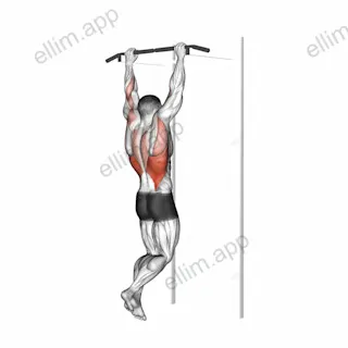 Gironda Sternum Chin exercise targeting Back and Latissimus Dorsi
