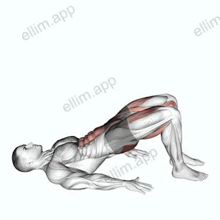Glute Bridge March exercise targeting Gluteus Maximus and Rectus Abdominis