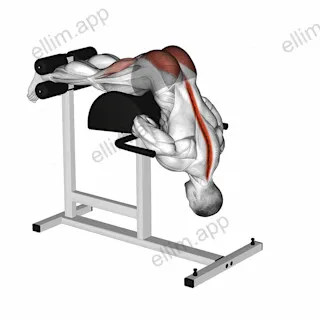 Glute Ham Developer Hip Extension exercise targeting Hips