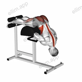 Glute Ham Hyperextension Twist exercise targeting Hips
