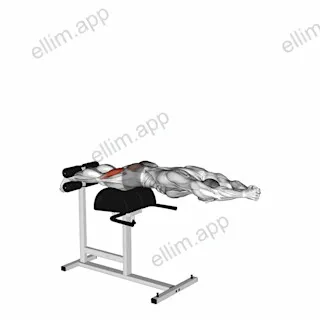 Glute Ham Raise with Extended Arms exercise targeting Thighs