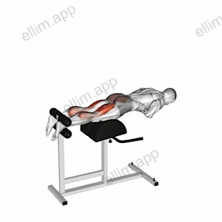 Glute Ham Raise exercise targeting Thighs