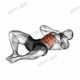 Groin Crunch exercise targeting Waist and Rectus Abdominis